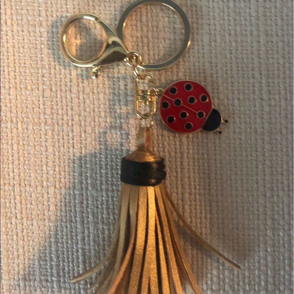 Love Bug key Chain Charm.